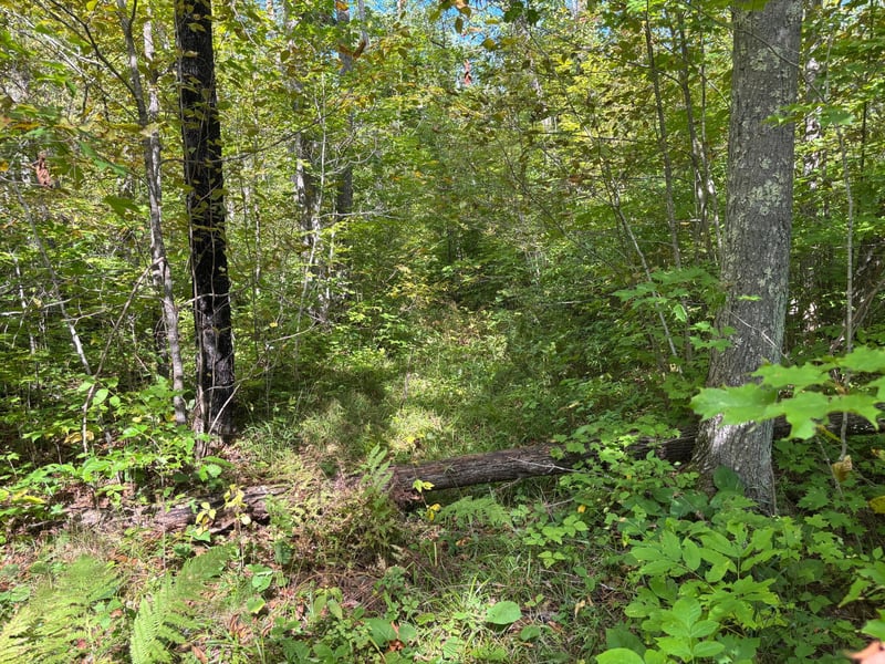 TBD 235th Pl, Mcgregor, MN 55760