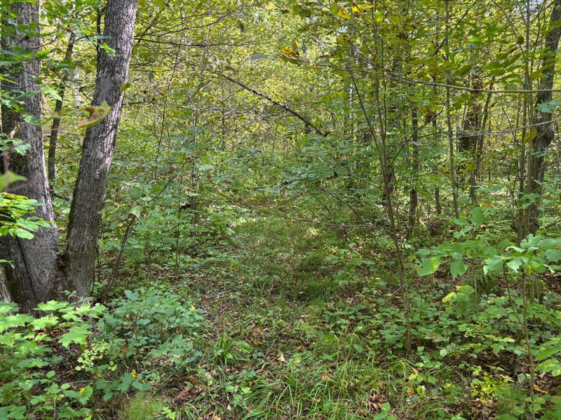 TBD 235th Pl, Mcgregor, MN 55760