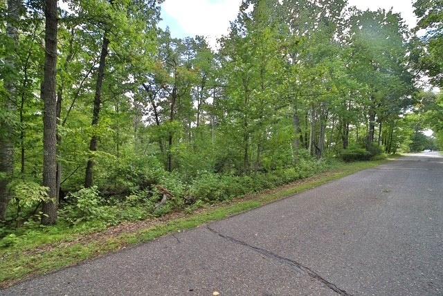 TBD Terminal Rd, Breezy Point, MN 56472