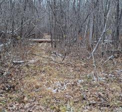 15057 Canyon Way, Pine City, MN 55063