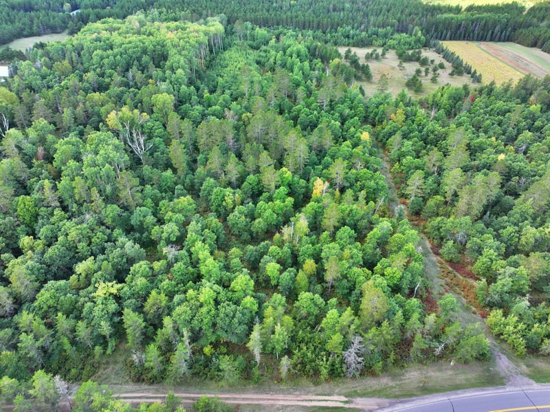 TBD County 119, Nevis, MN 56467