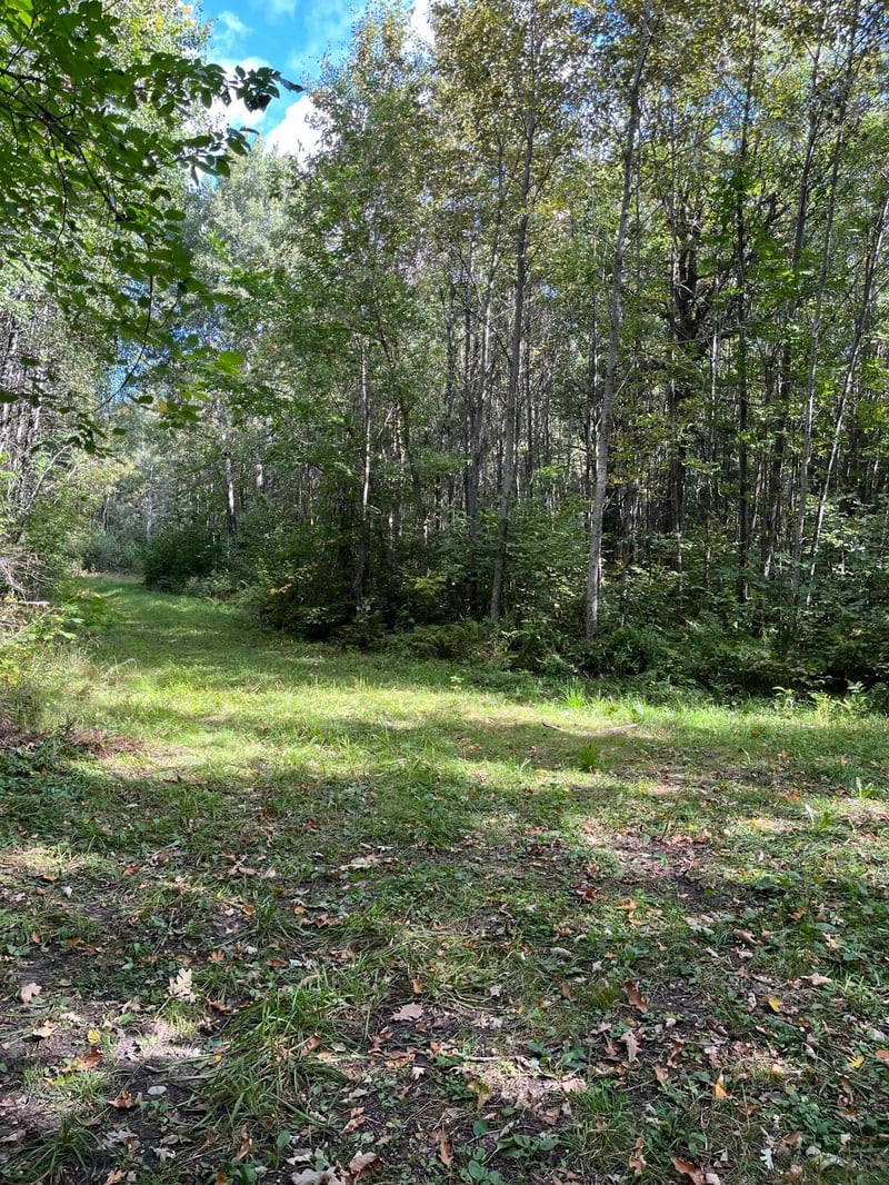 TBD County Rd 30, International Falls, MN 56627