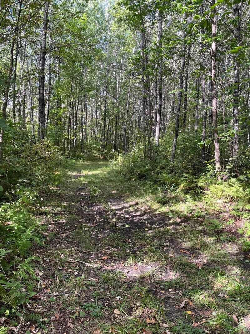 TBD County Rd 30, International Falls, MN 56627