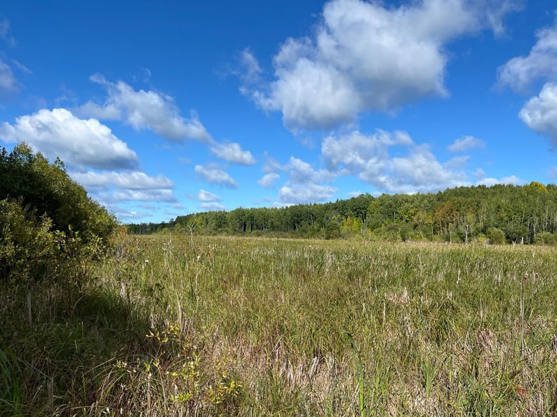 TBD County Rd 30, International Falls, MN 56627