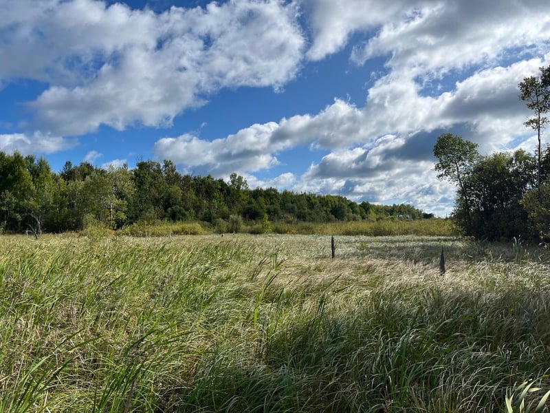 TBD County Rd 30, International Falls, MN 56627