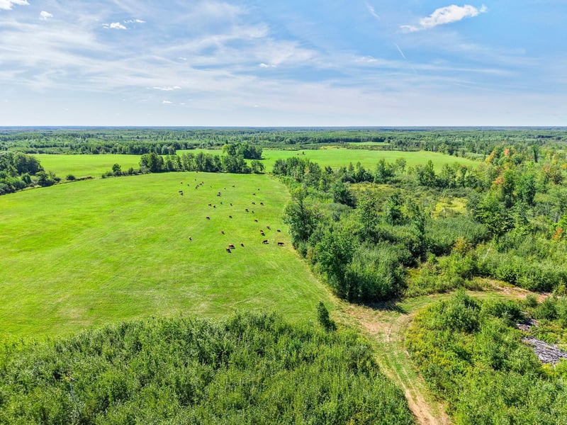 xxx Fleming Logging Rd, Hinckley, MN 55037