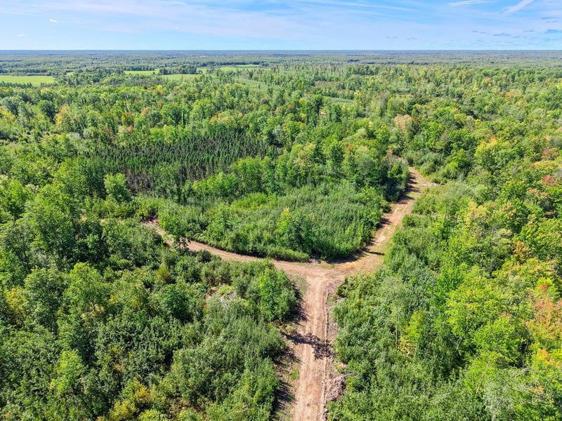 xxx Fleming Logging Rd, Hinckley, MN 55037