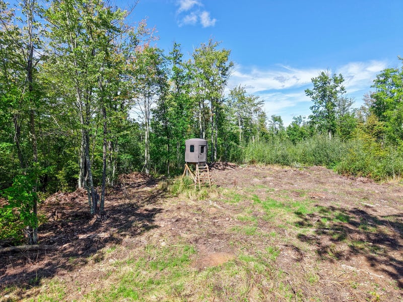 xxx Fleming Logging Rd, Hinckley, MN 55037