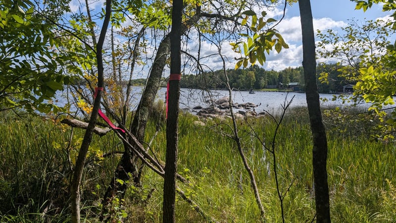 Lot B Everett Bay Rd, Tower, MN 55790