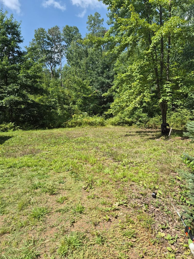 TBD Wolf Creek Rd, Fleming Twp, MN 55704
