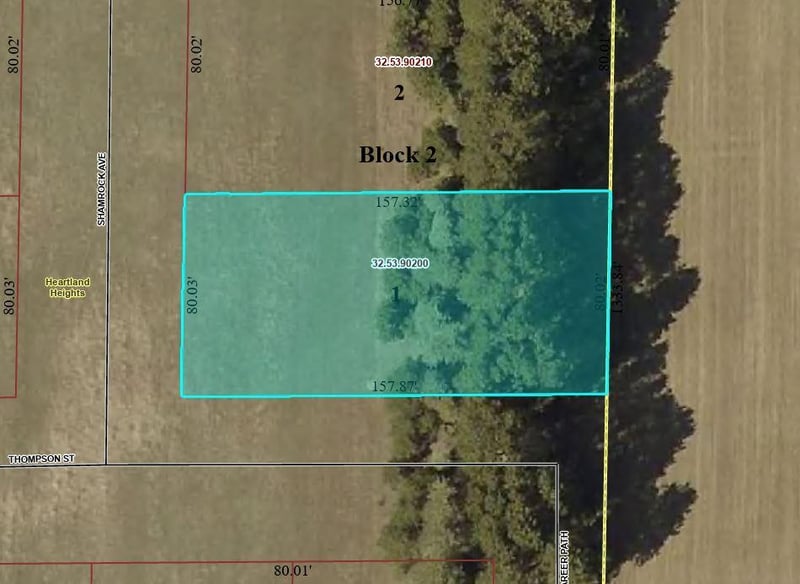 TBD Lot 1 Thompson St, Park Rapids, MN 56470