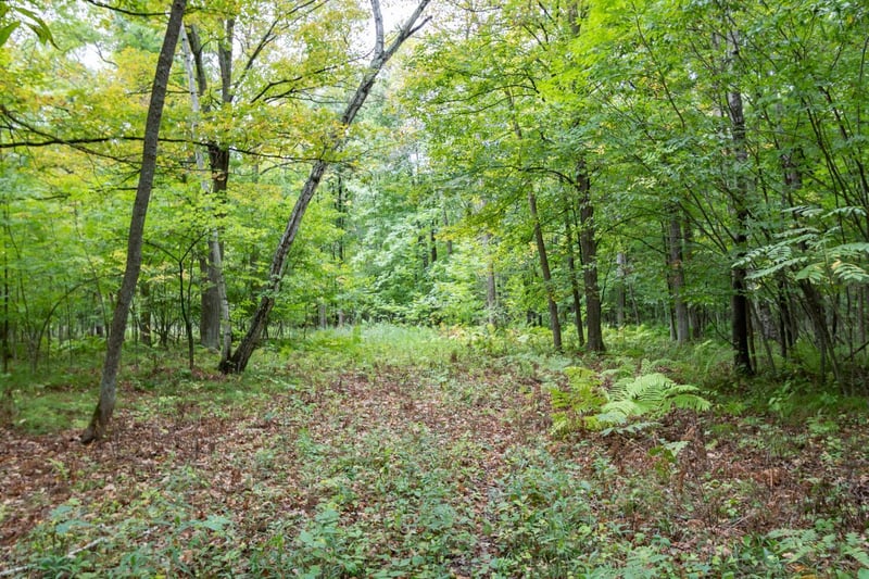 20 Acres 153rd Ave, Balsam Lake, WI 54810