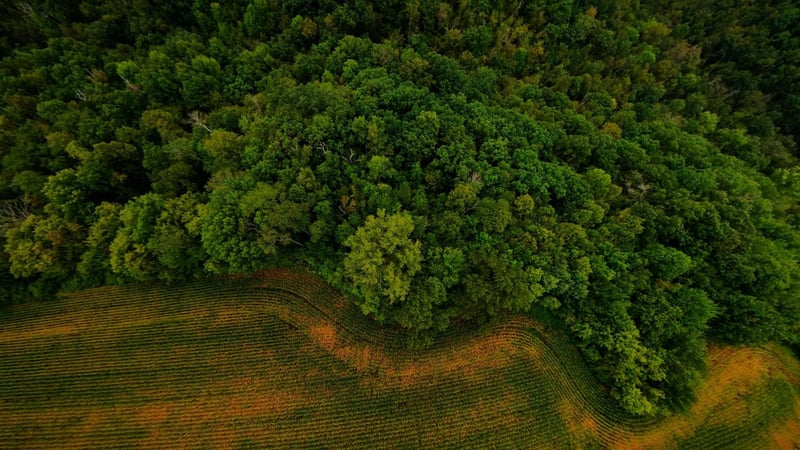 TBD County Road I, Pepin, WI 54759
