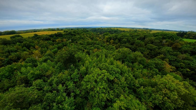 TBD County Road I, Pepin, WI 54759