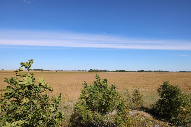 81893 470th St, Hector, MN 55342