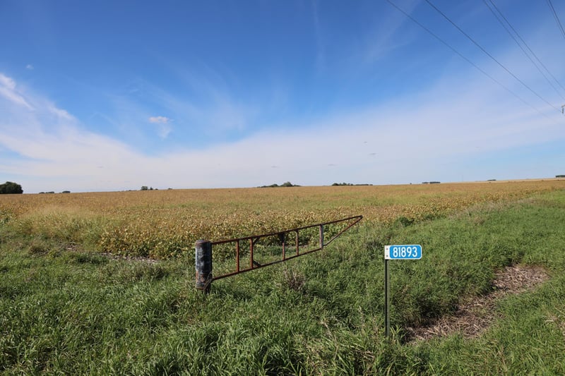 81893 470th St, Hector, MN 55342