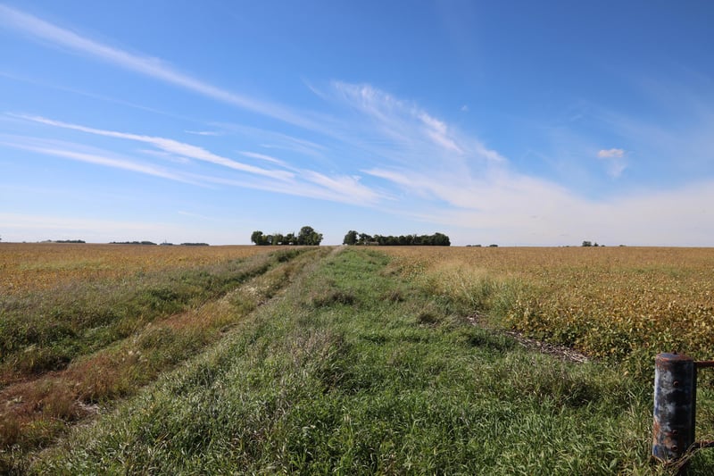 81893 470th St, Hector, MN 55342