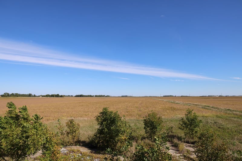 81893 470th St, Hector, MN 55342