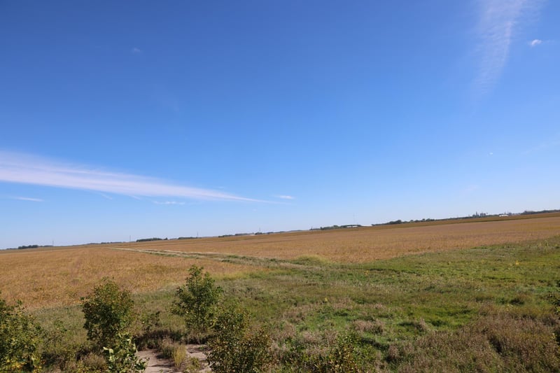 81893 470th St, Hector, MN 55342