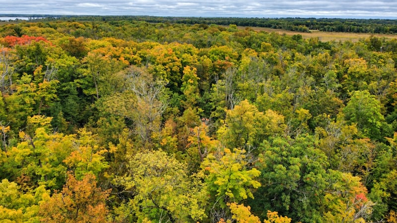 Lot 12 Beaver Dr, Brainerd, MN 56401