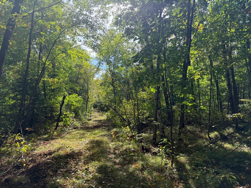 0 Sand Creek Rd, Bruno, MN 55712
