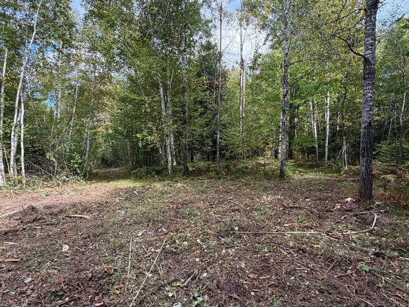 TBD Sand Creek Rd, Bruno, MN 55712
