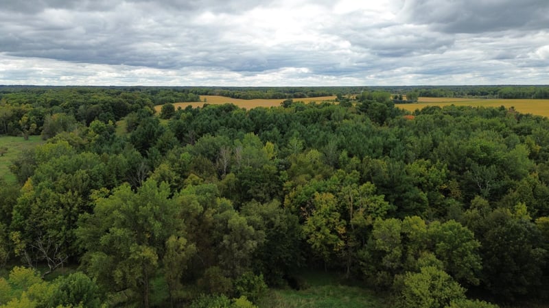 3850 405th Ave NW, Braham, MN 55006