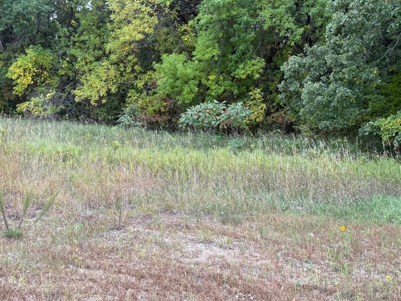 Lot 11 TBD Creek View Dr, Pelican Rapids, MN 56572