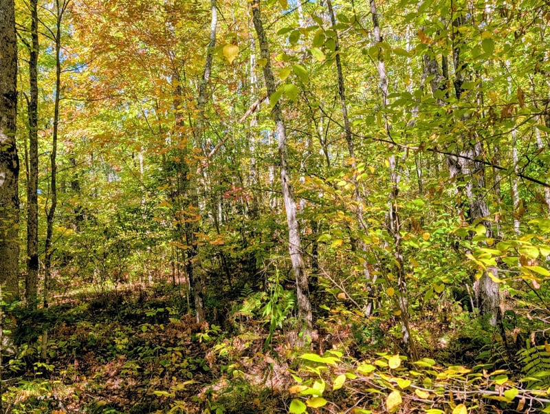 TBD Hwy B, Hunter Twp, WI 54843