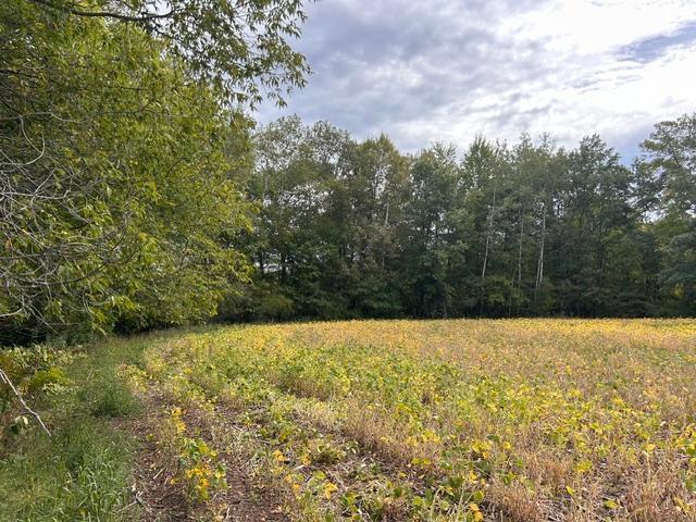 TBD Melody St, Braham, MN 55006