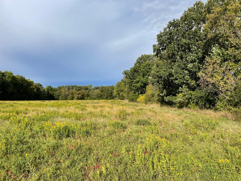 TBD Xxx 140th Ave, Foreston, MN 56330