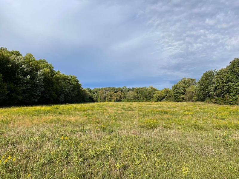 TBD Xxx 140th Ave, Foreston, MN 56330