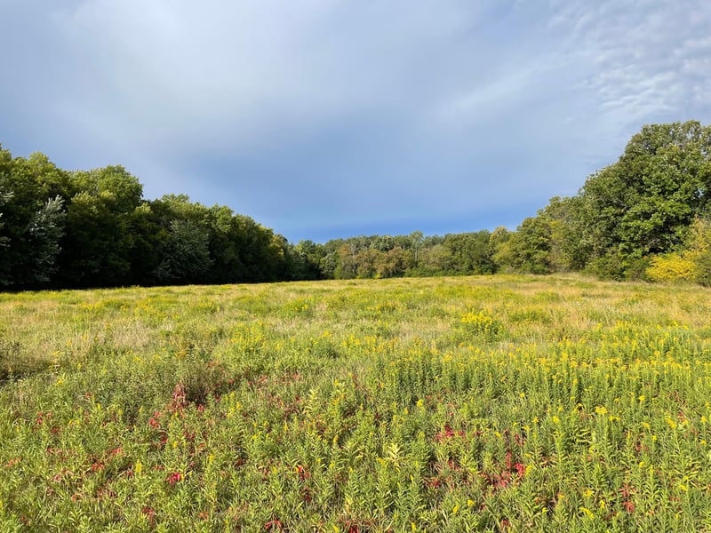 TBD Xxx 140th Ave, Foreston, MN 56330