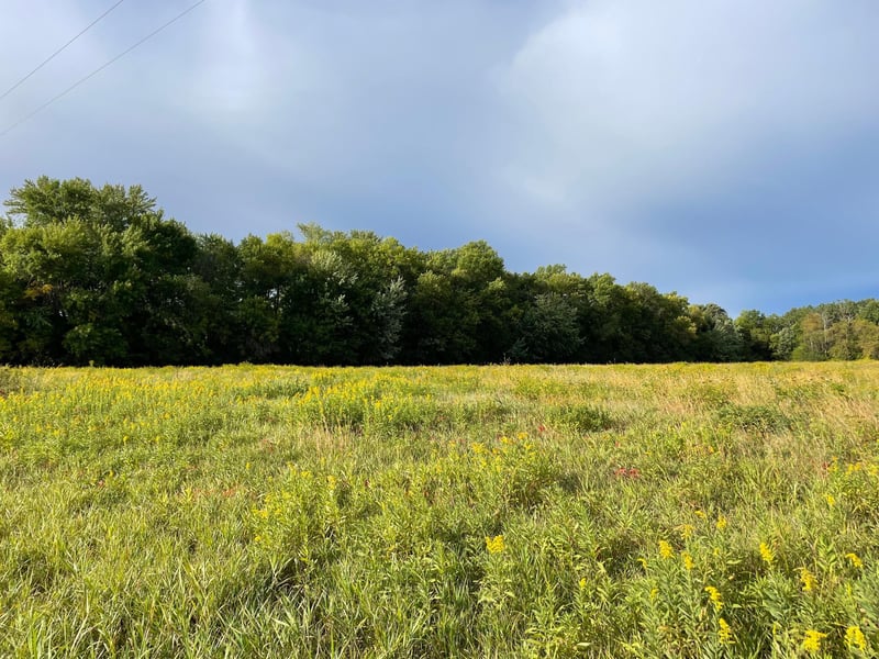 TBD Xxx 140th Ave, Foreston, MN 56330
