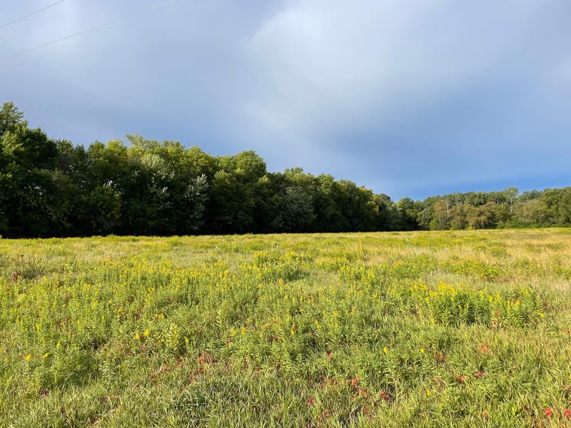 TBD Xxx 140th Ave, Foreston, MN 56330