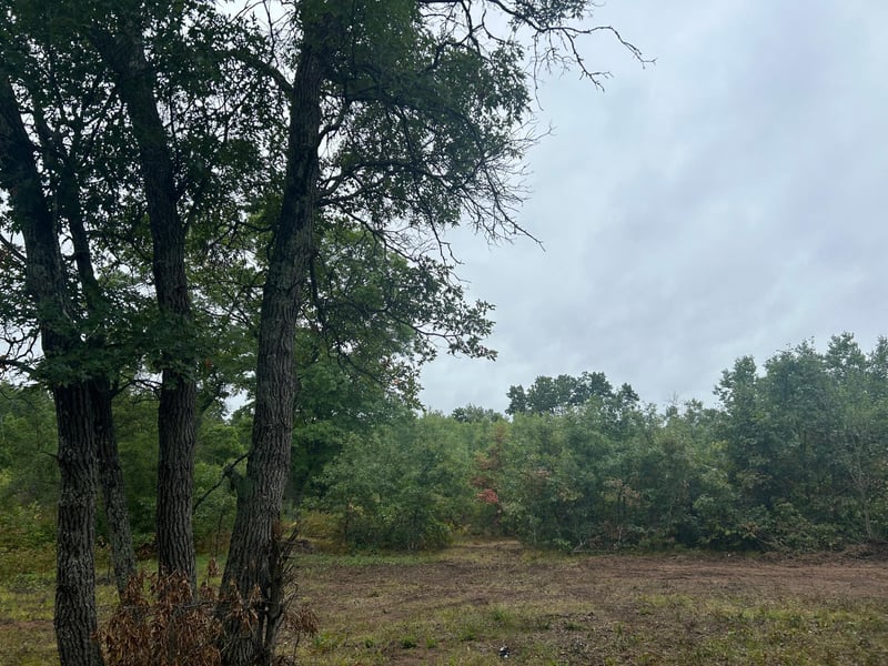 Lot 2 County Road T, Wascott, WI 54838