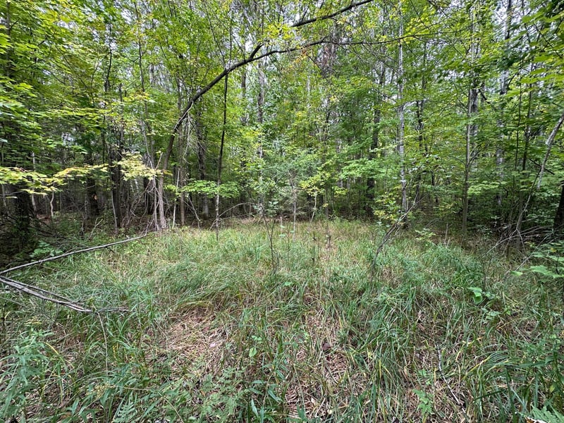 TBD W Fork Rd, Sandstone, MN 55072