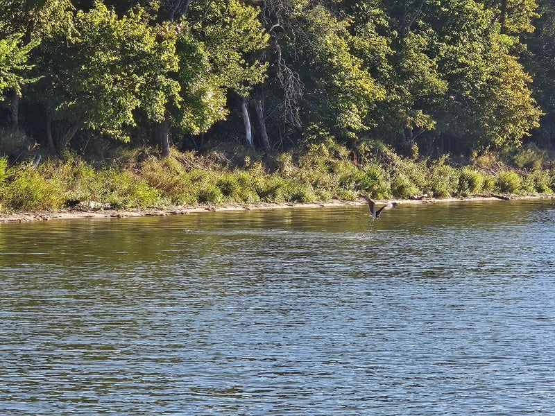 Tract A 332nd St, Richville, MN 56576