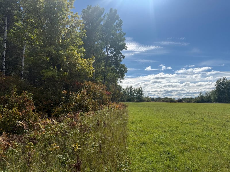 TBD Xxxx Johnson Rd, Floodwood, MN 55736