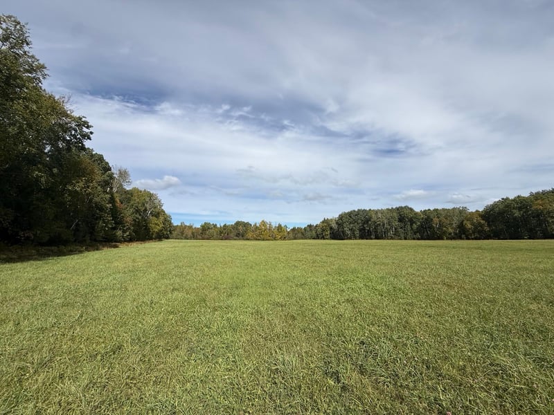 TBD Xxxx Johnson Rd, Floodwood, MN 55736