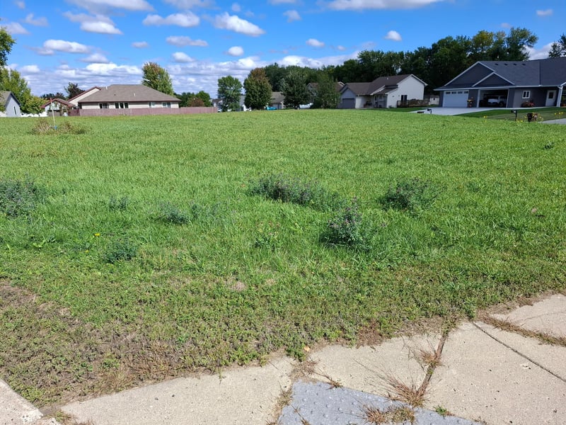 870 Congress St W, Maple Lake, MN 55358