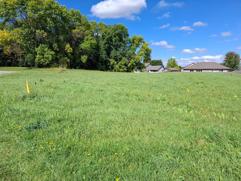 870 Congress St W, Maple Lake, MN 55358