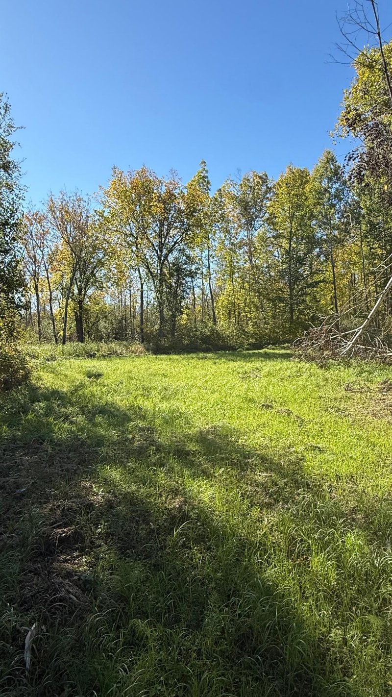 Parcel A Sunflower Rd, Kelliher, MN 56650