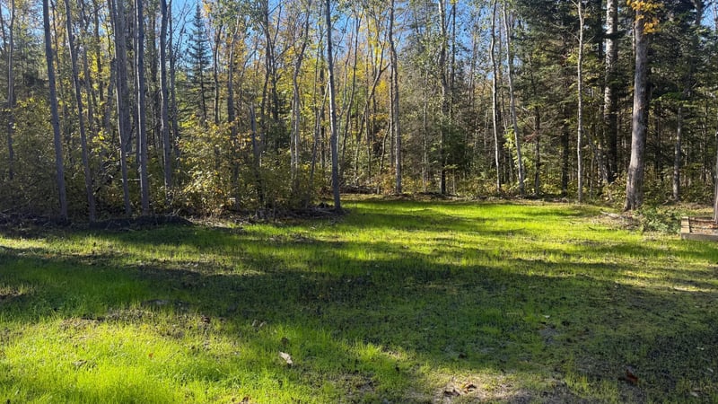 Parcel A Sunflower Rd, Kelliher, MN 56650