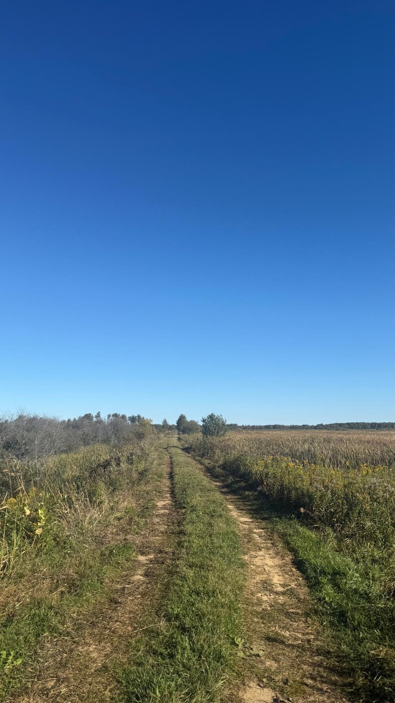 Parcel B Sunflower Rd, Kelliher, MN 56650