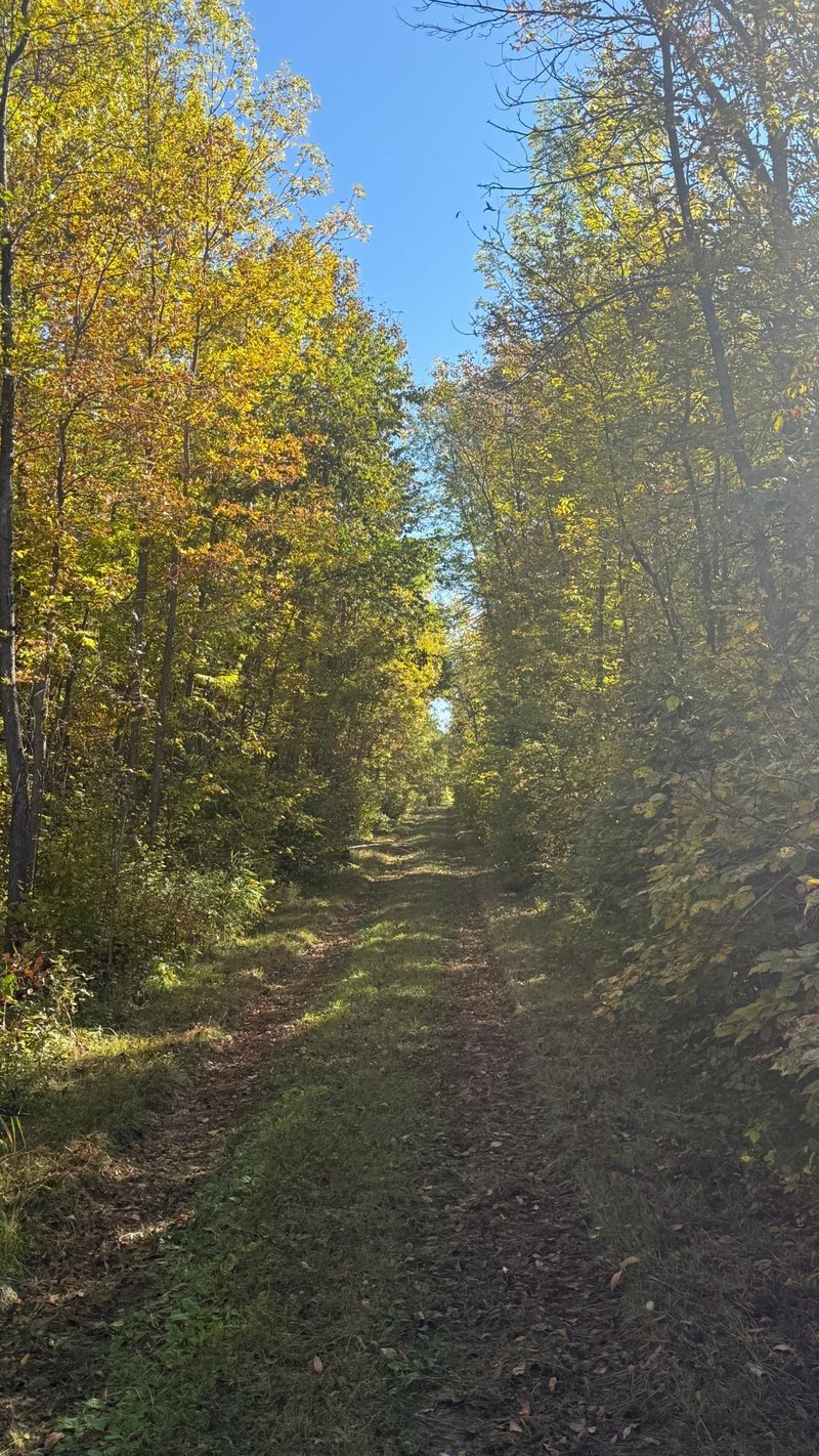Parcel B Sunflower Rd, Kelliher, MN 56650