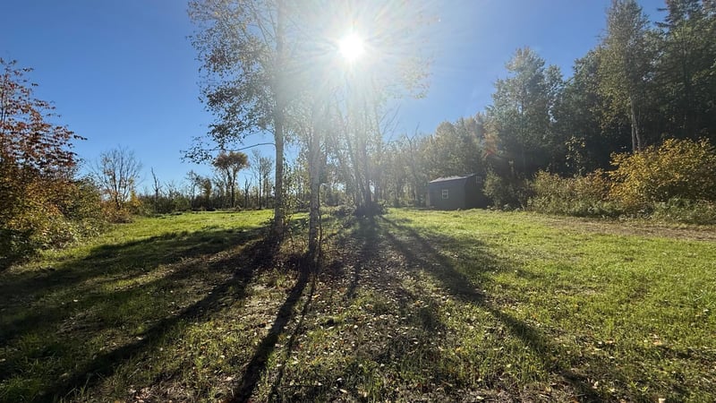 Parcel B Sunflower Rd, Kelliher, MN 56650