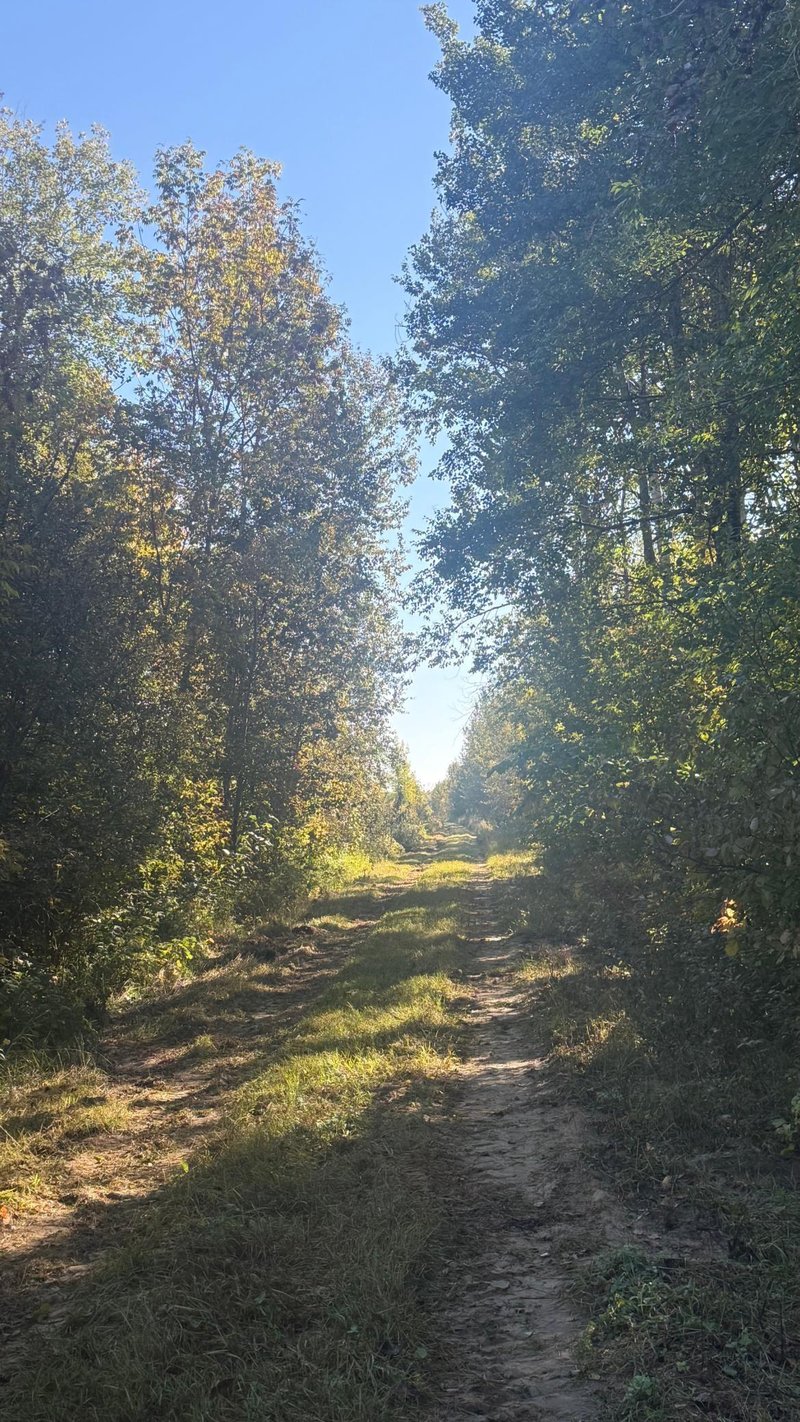 Parcel B Sunflower Rd, Kelliher, MN 56650