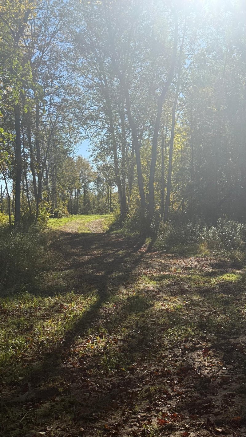 Parcel B Sunflower Rd, Kelliher, MN 56650