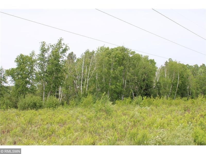 xxxxx Sandhill Crane Ln, Pine City, MN 55063